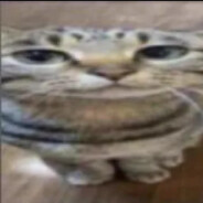 fa,te futi? misha printu frantei