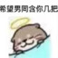 XYXYYDS