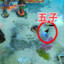 五子注意走位(救救救)