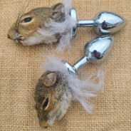 Squirrel Buttplug