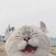 答应过给她满天星辰