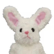 盗账号替我挡灾