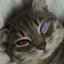 JAXIE