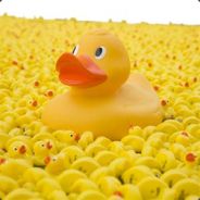 duckk - steam id 76561197969219976