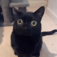 o                       o