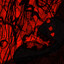 Deep Everred Well