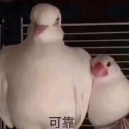 翻斗花园的边角料