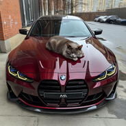 Грызущий пенисы