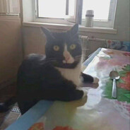 Монеси - steam id 76561198327552279