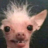 ПОЛИМОЧЕВИНА