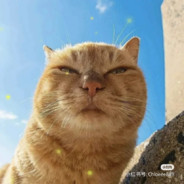 失控玩家灰原哀