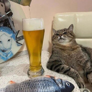 дели на два