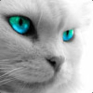Kotobike avatar