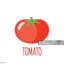 ToToMeZ