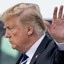 Donald J. Trump