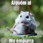 SherminadorSalu