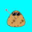 Pou sujo e doente