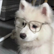 秋风箬起花似月