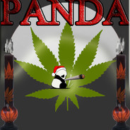 בחור האינדיקות