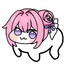 doro占领世界