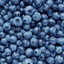 blueberry enjoyer