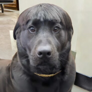 宇宙的第一道暗