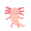 Axolotl007