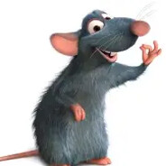 ratatuj