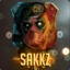 Sakkz