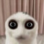 ren