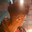 THDR's Avatar