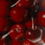 NotCherries