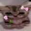 Nini