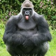 ガチムチウサギ