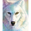 ツWhite①Wolf♥