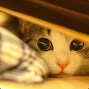 我感觉通上了电~！