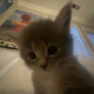 死ね!「AetherL0RD」