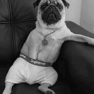 szto ca Marcus Goggins