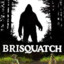 Brisquatch