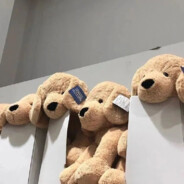 你信我是秦始皇还是1+1=3