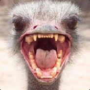 Bearden ( °)> - steam id 76561197961452506