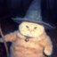 AGONYM_SHY