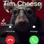 Tim cheese_bandit.gg