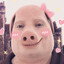 Spungus