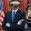 CommanderInSloth