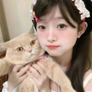 纵马踏花向自由