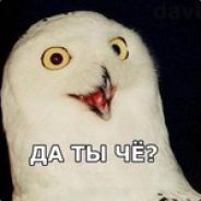 K20