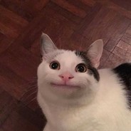 로치