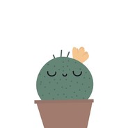 ProudCactus