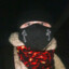 Витя2007